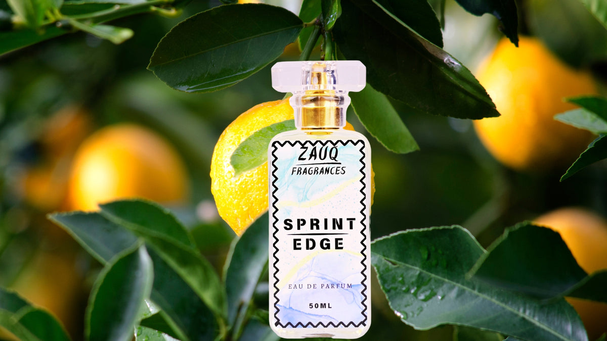 SPRINT EDGE /  INSPIRED BY POLO SPORT