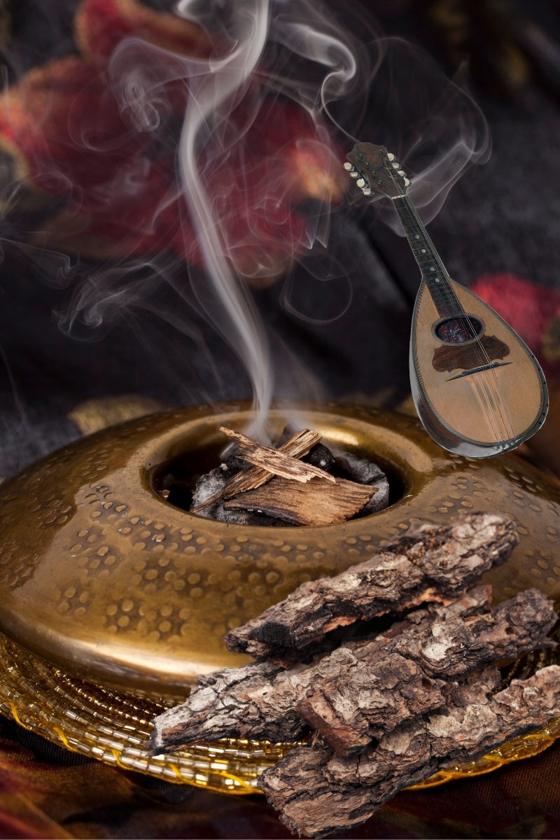 AMEER ALOUD | OUD,WARM,SPICY